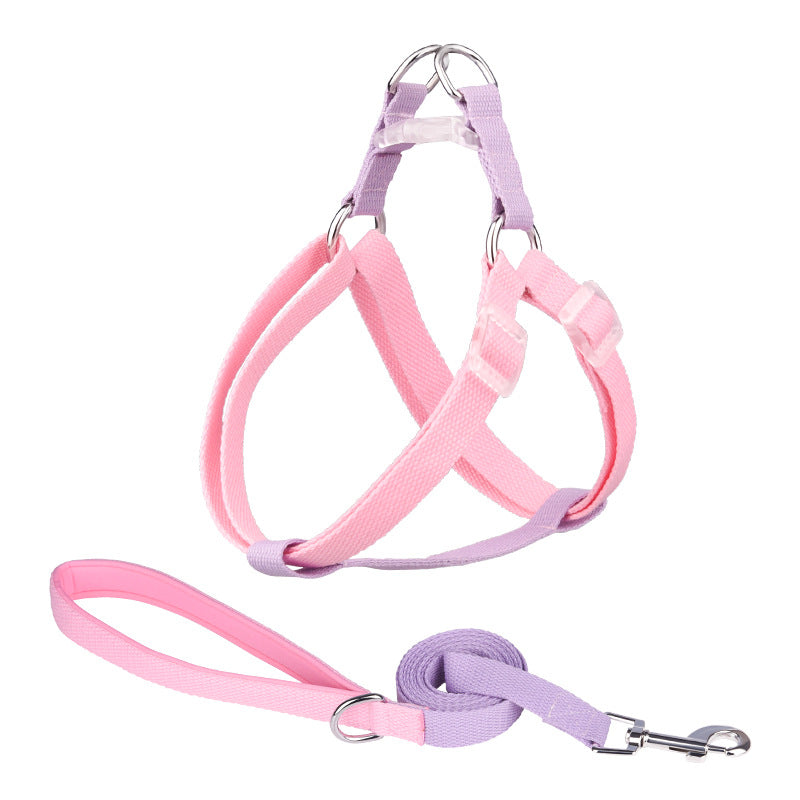 Macaron Traction Dog Rope Small And Medium Sized Pets