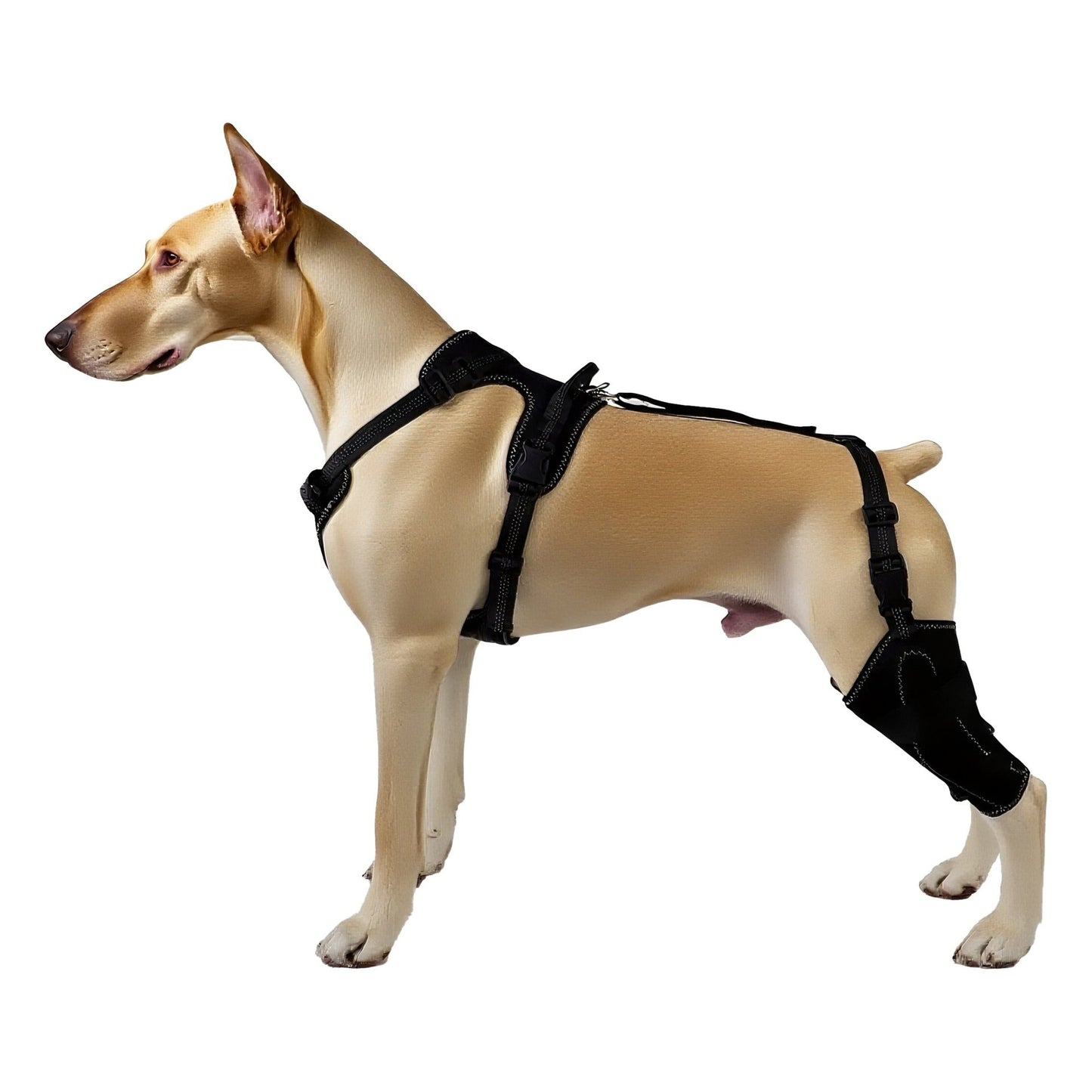 Pet Leg And Joint Protection Sleeves