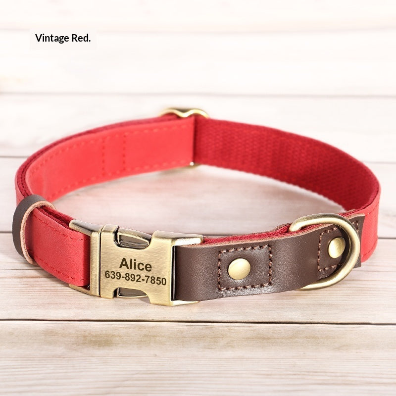 Medium Sized Dog Collar For Walking