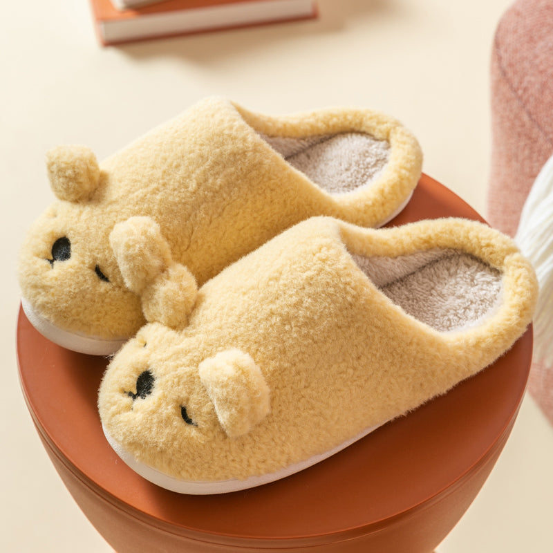 Home winter cute bag with cotton slippers