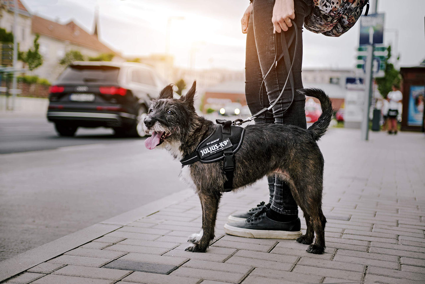 Hundetilbehør kan tilpasses træktov til mellemstore og store hunde