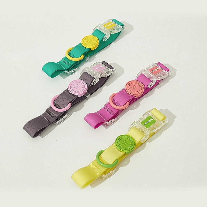 Hundehalsbånd Hund Hånd Holder Reb