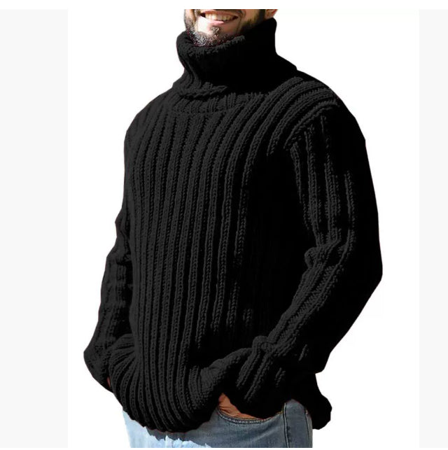 Turtleneck Solid Color Slim Fit Knit Sweater
