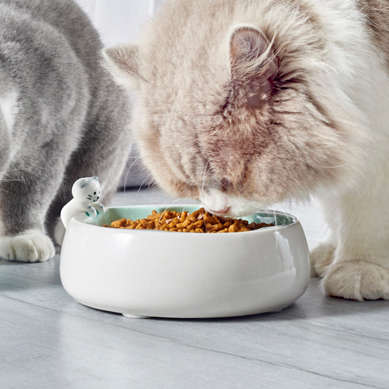 Pet drinking water bowl dog bowl rice bowl