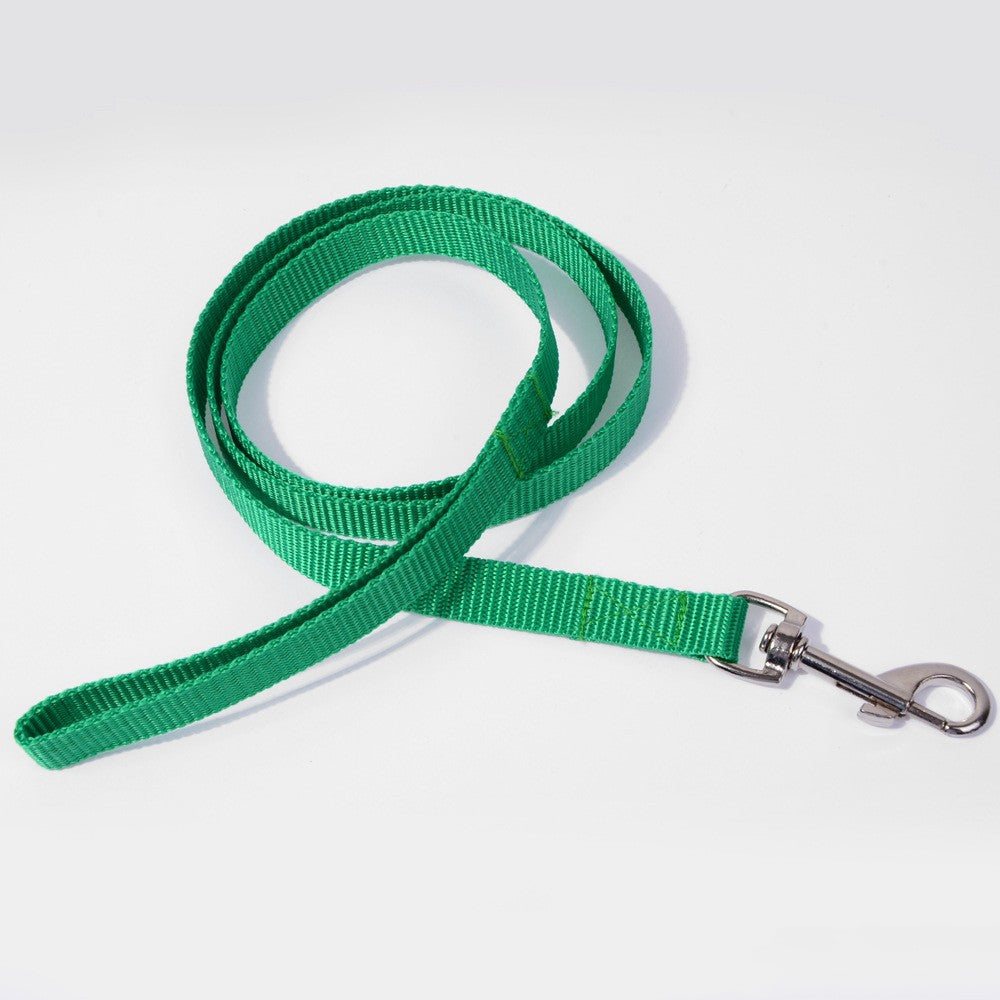 Pet Dog Hand Holding Rope Multicolor Colorful