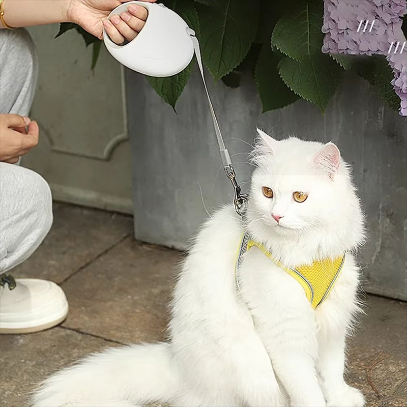 Hundesnor Til Små Mellemstore Hunde Kat Udtrækkelig Nylonreb Hvalp Gå Tur Roulette Trækker Snor Til Kæledyr