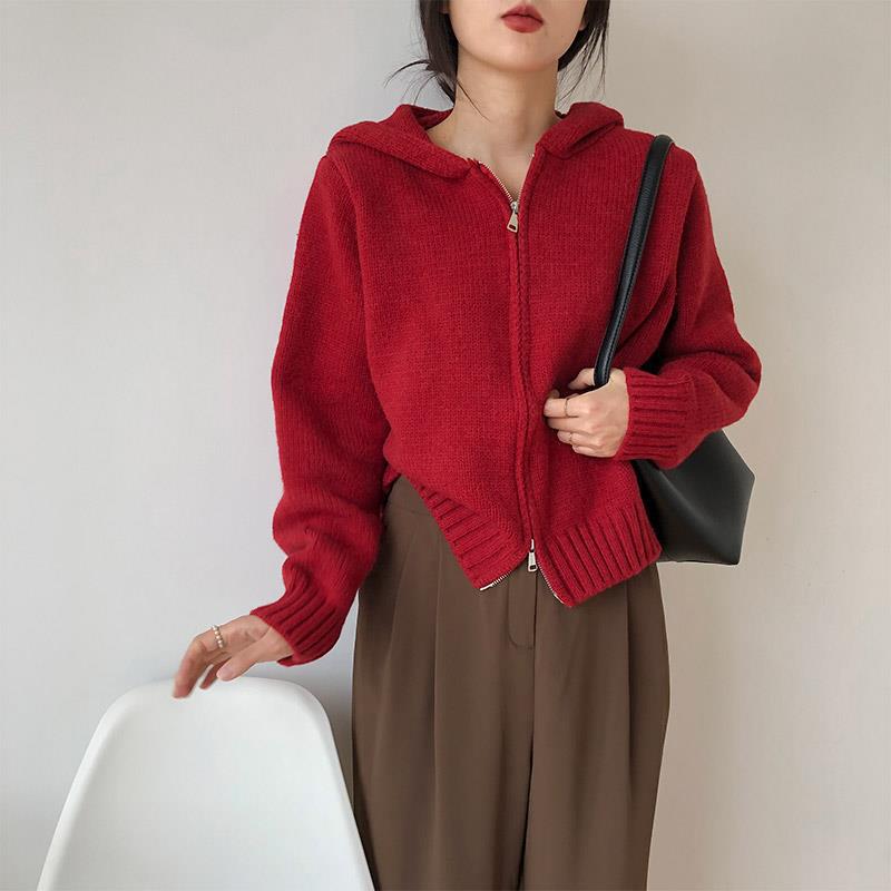 High-grade Korean Sweater For Women Padded Top Outer Wear