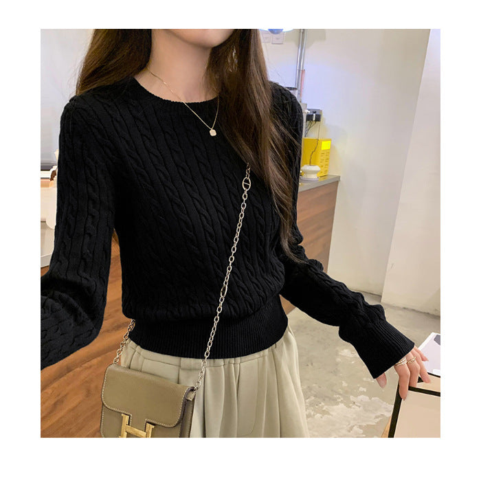Ladies' Loose Twisted Round Neck Solid Color Sweater