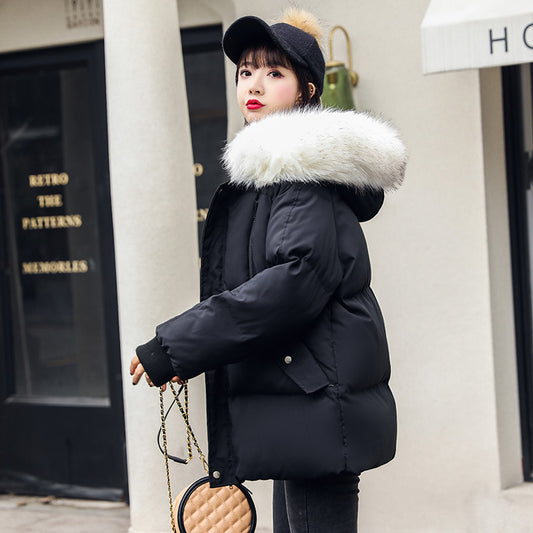 Udenrigshandel Elegant Vinter Koreansk Stil Slim Fit All-matching Bomuldsvatterede Vinterjakker Til Kvinder