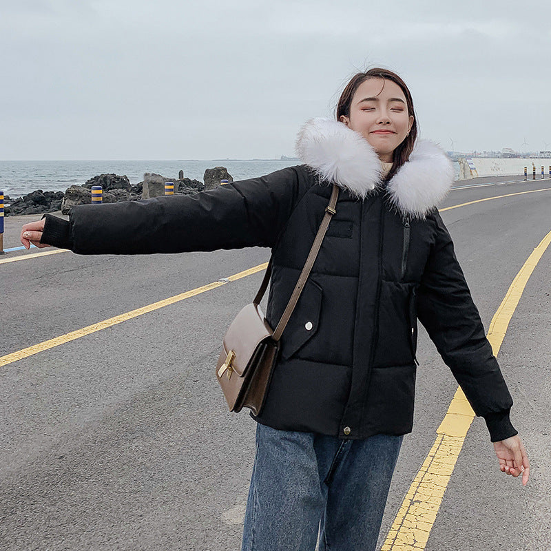 New Autumn Winter Coat Women's Top Down Cotton-padded Jacket
