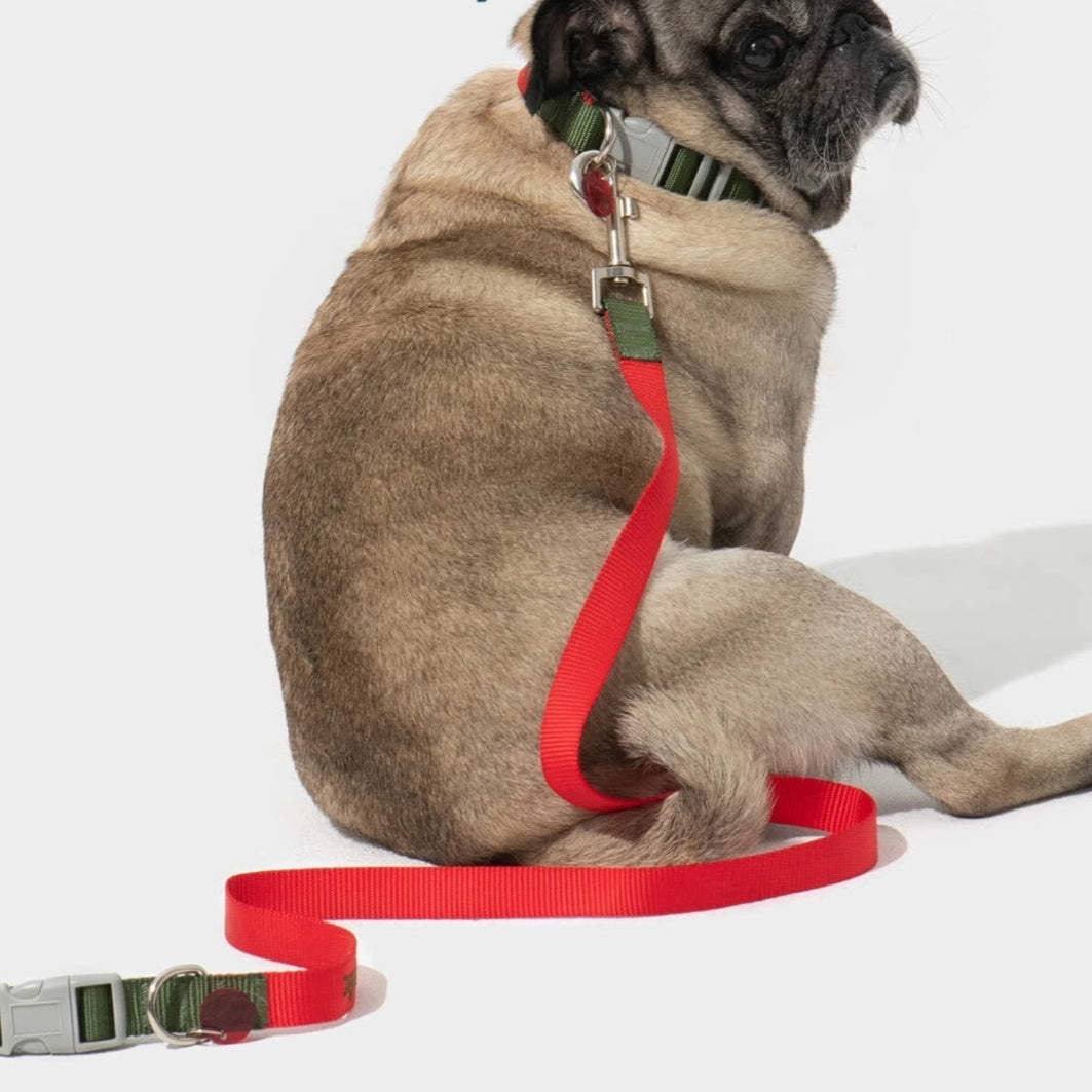 Nyt Hundehåndtag Reb Behagelig Ikke Stram Halskrave