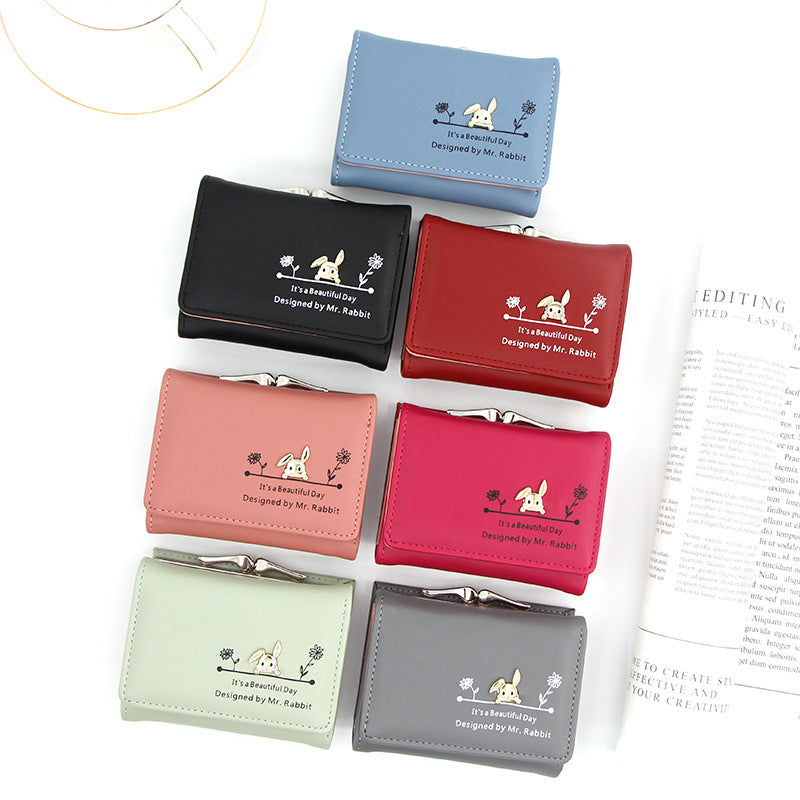Korean Women's Leather Wallet Large Cash Photo Bits