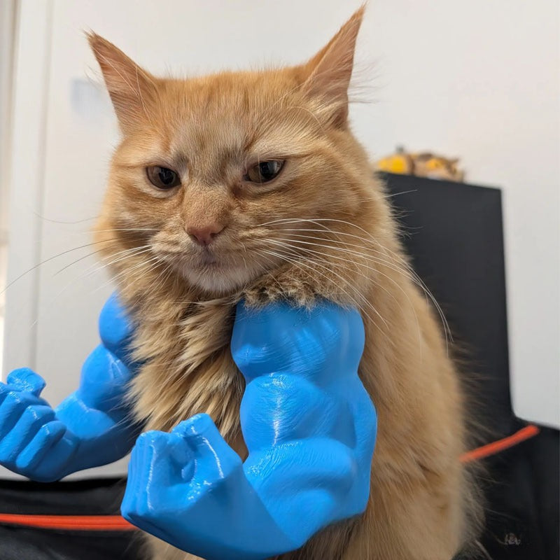 Funny Muscle Hand Developed Arm Creative Cat Hanging Items
