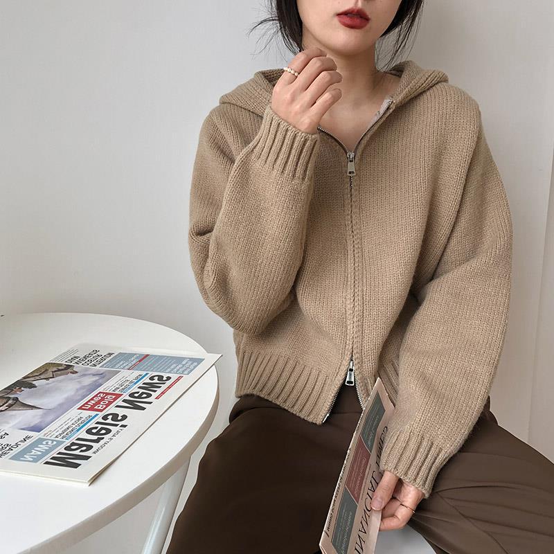 High-grade Korean Sweater For Women Padded Top Outer Wear