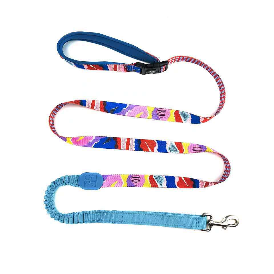 Multifunctional Buffer Traction Rope Pet Out Traction Walking Dog Rope