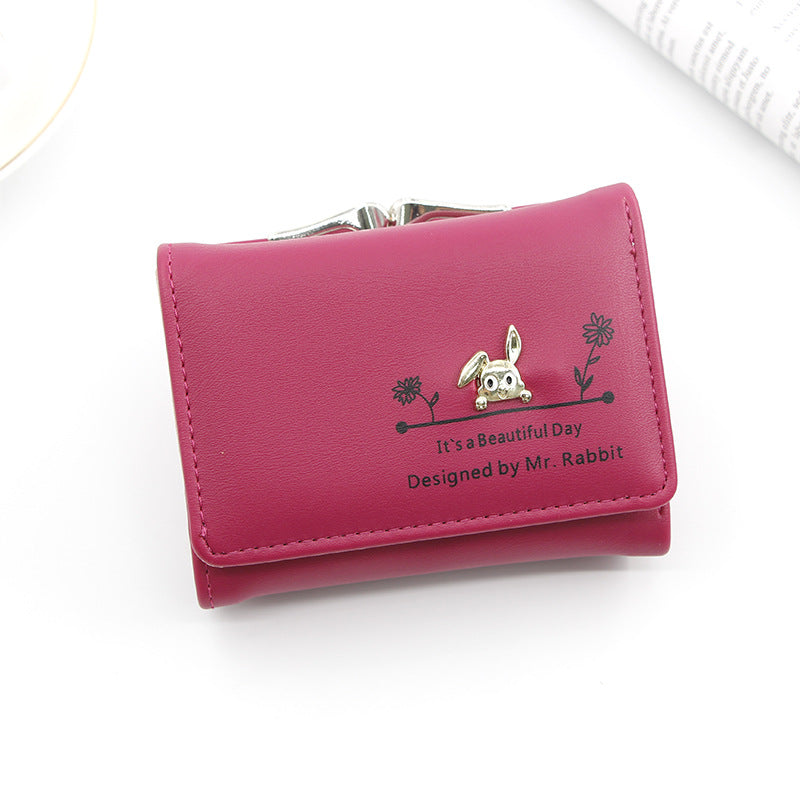 Korean Women's Leather Wallet Large Cash Photo Bits
