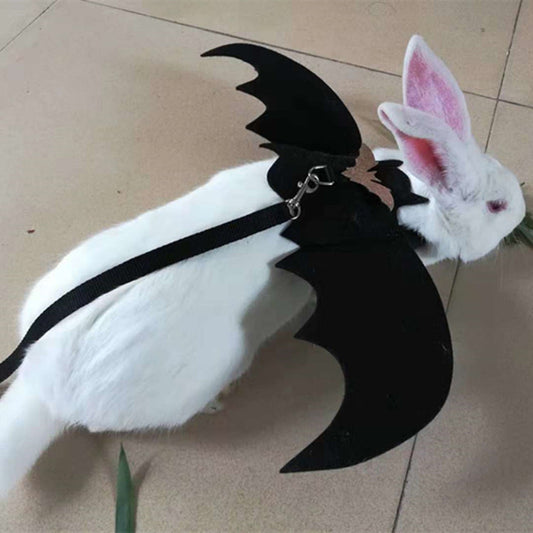 Dog dressed up with bat wings