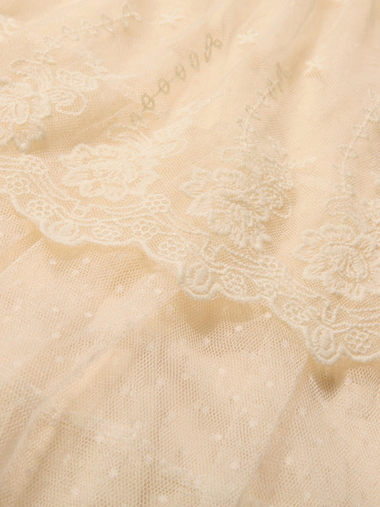 Embroidered Lace Mesh Skirt Cake A- Line Skirt