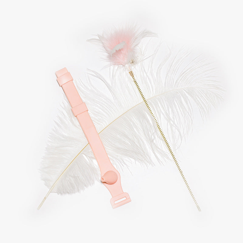 Fun Bite-Resistant Collar Cat Feather Toy