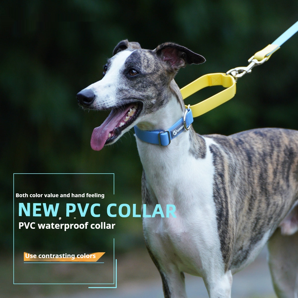 Plastic Waterproof Traction Collar Pet Supplies Tow Rope Collar