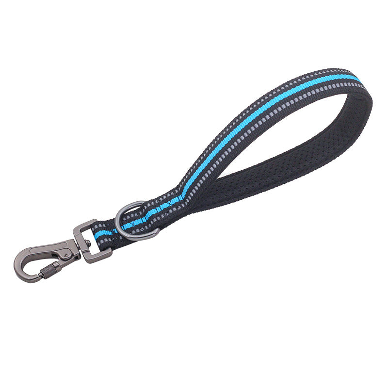 Big Dog Short Traction Rope Step Training