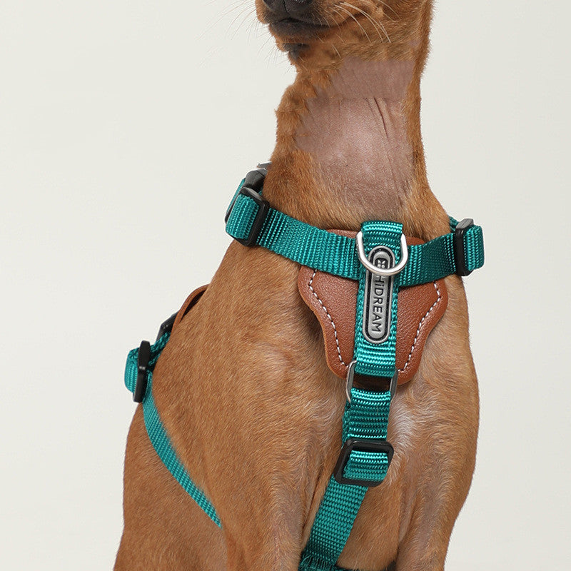 Hundesnor Eksplosionssikker Hvalpetype