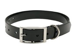 Factory Wholesale PVC Plastic Waterproof Dog Collar Wear-resistant Dog Collar Out Dog Traction Collar Pet Supplies