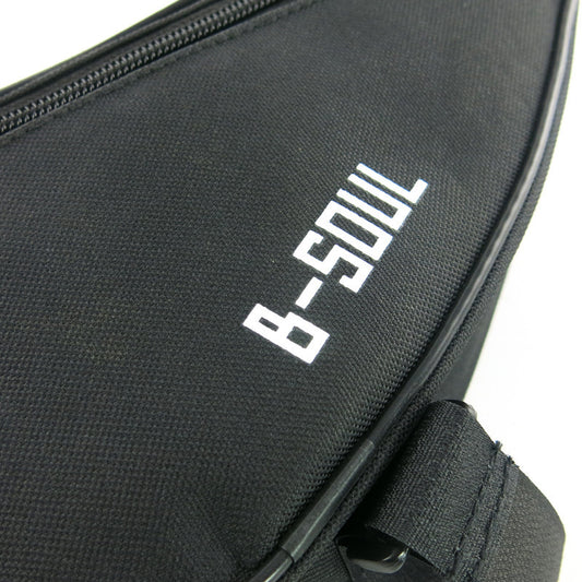 Saddle triangle bag