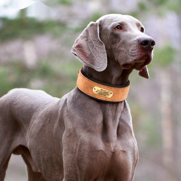 Widened Dog Collar With Anti Lock Lettering