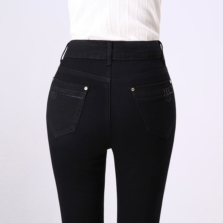 Straight Leg Plus Size Women's Pants High Waist Stretch