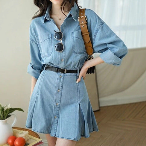 Womens Chic Denim Shirt Dress