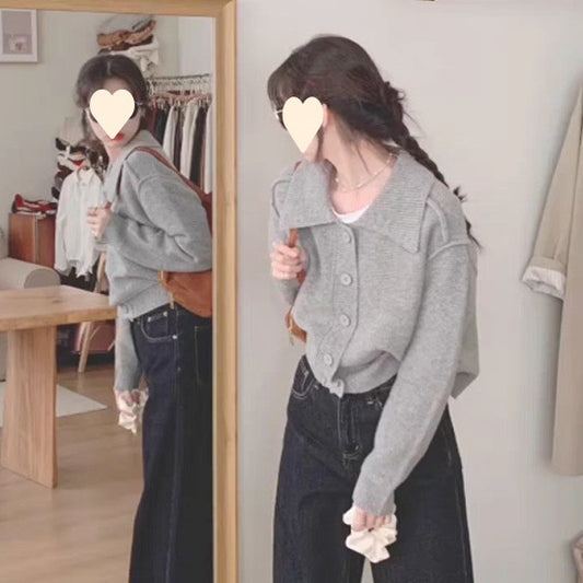 Lapelsweater Cardigan Niche Sweater Top