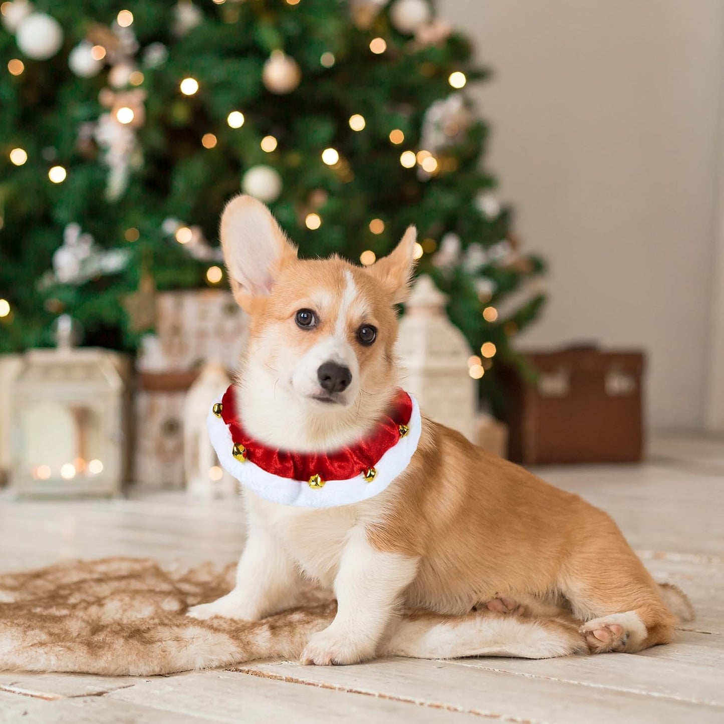 Dog Christmas Outfit Christmas Dog Collar With Bells Ornaments Holiday Christmas Dog Neckwear Costume Clothes For Small Medium Large Dogs Pets