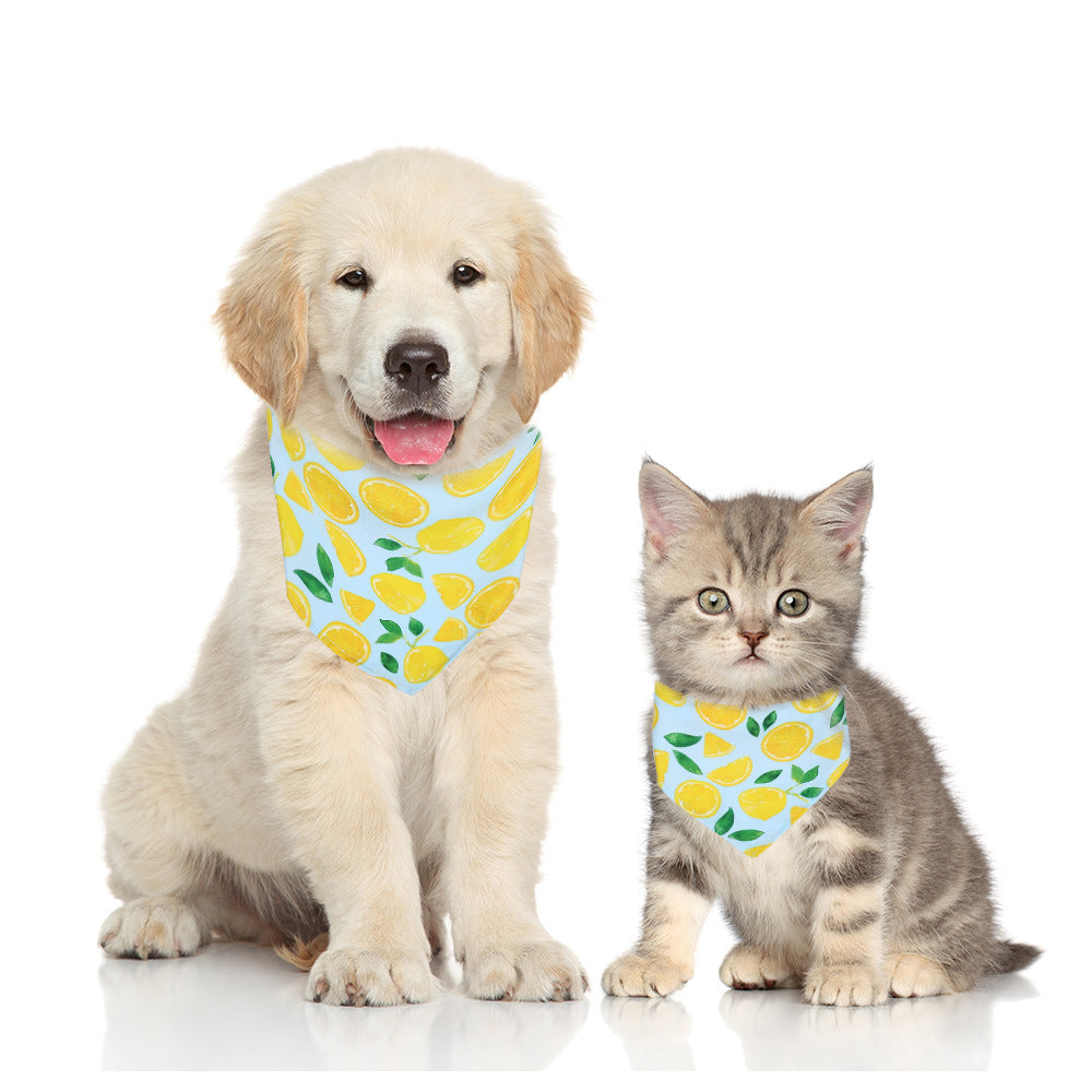 Fashion Statement Cat Collar Dog Triangular Binder