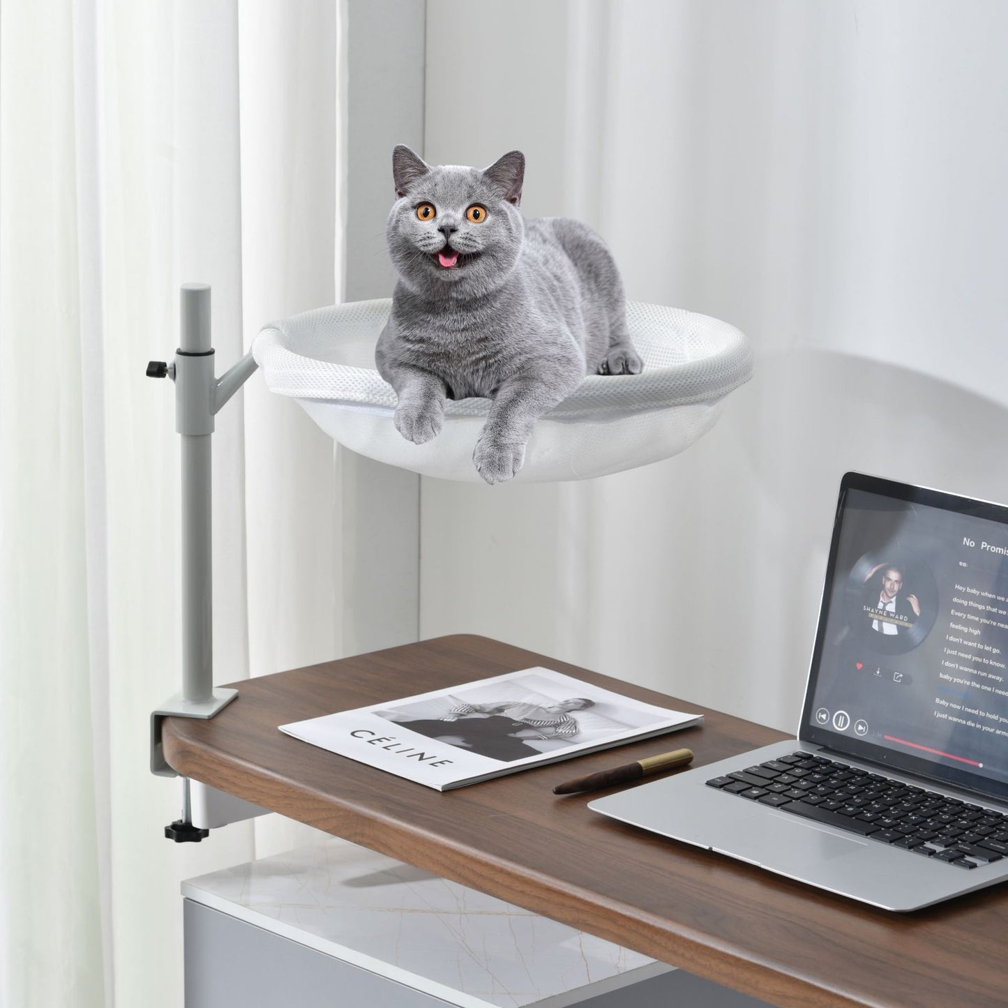 Household Non-occupied Desktop Suspended Cat Bed