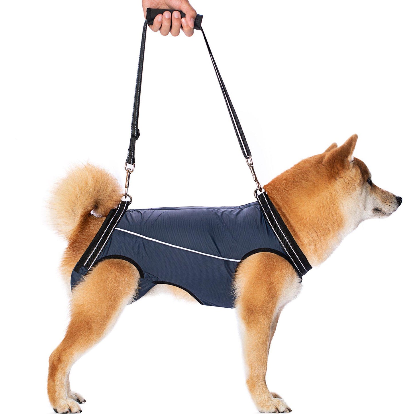 Elderly And Disabled Dogs Auxiliary Belt Auxiliary Clothing