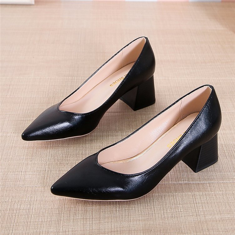 Pointed toe shoes with thick heels