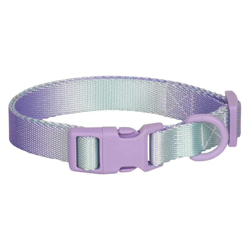 Large Anti-rust Gradient In Dog Collar