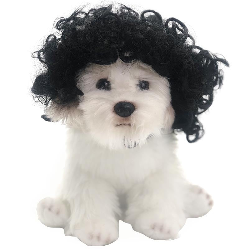 Pet Supplies High-temperature Silk Cat Wig