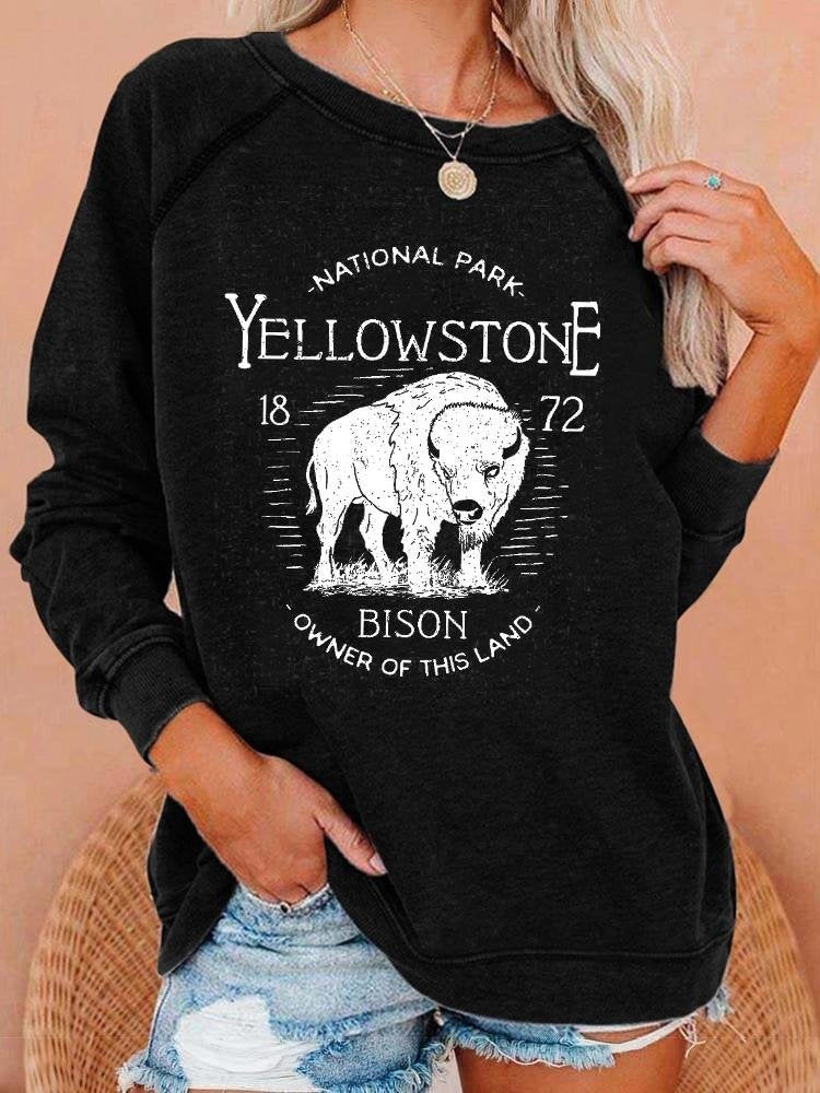New European And American Personalized Elements Women's Sweater