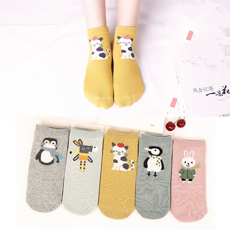 Invisible cute spring and autumn day socks
