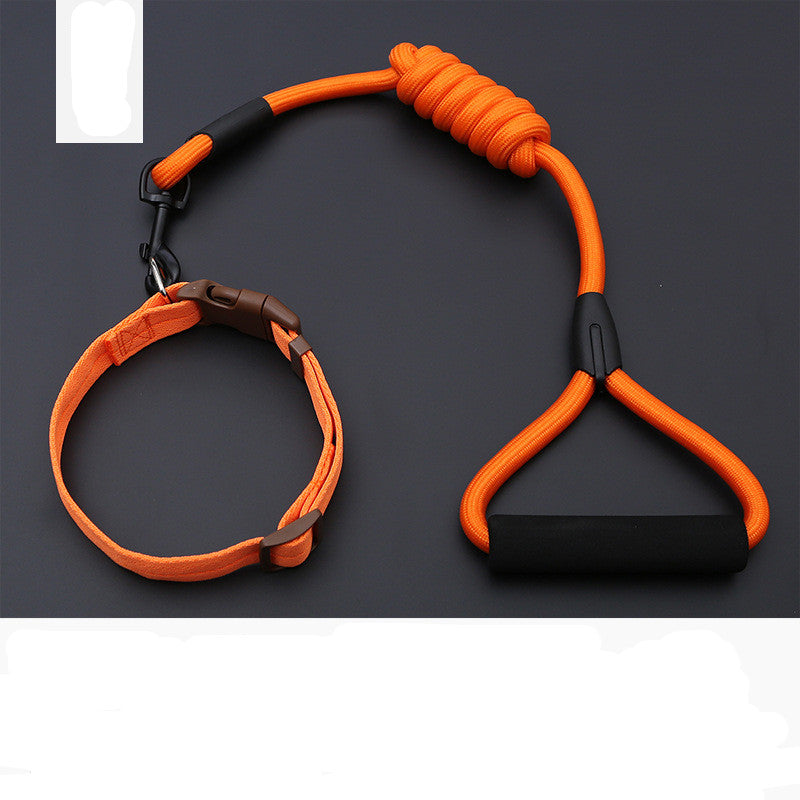 Dog Leash Golden Retriever Teddy Chest Strap Collar