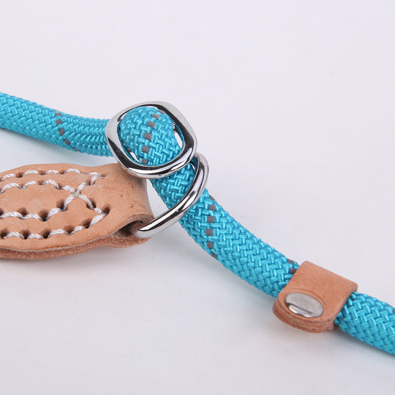 Reflective silk hyena leash