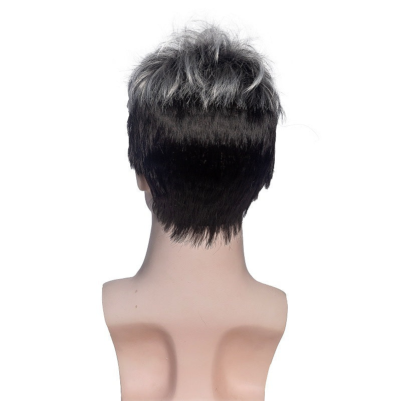 Men's Fluffy Texture Short Hair Full-head Wig