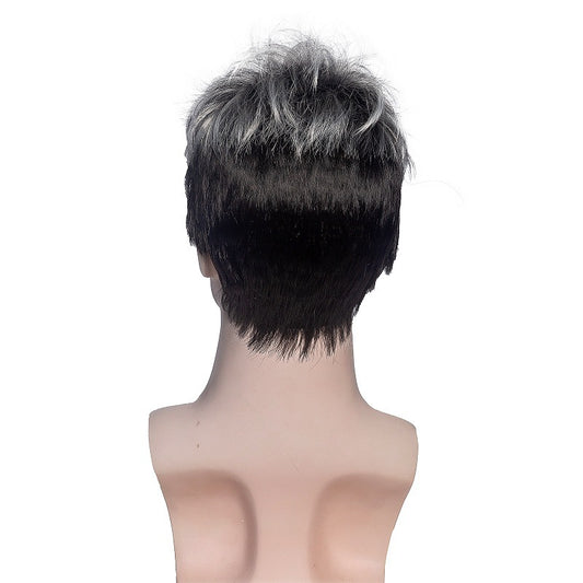 Men's Fluffy Texture Short Hair Full-head Wig
