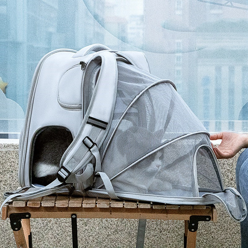 Pet Cats And Kittens Out Portable Large Capacity Backpack
