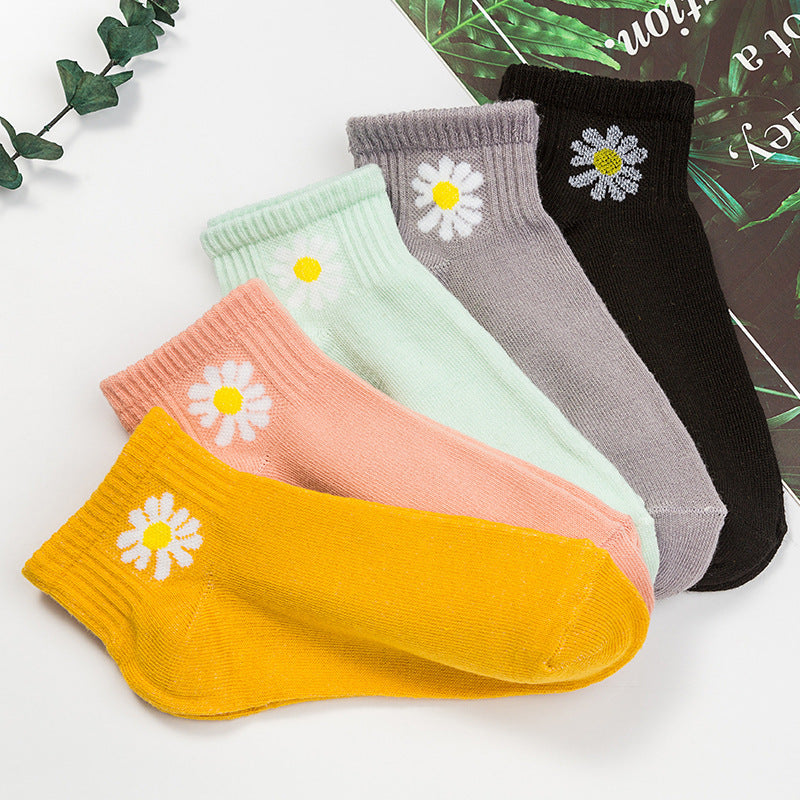 Summer Thin Shallow Mouth Boat Socks Ladies Cotton Socks
