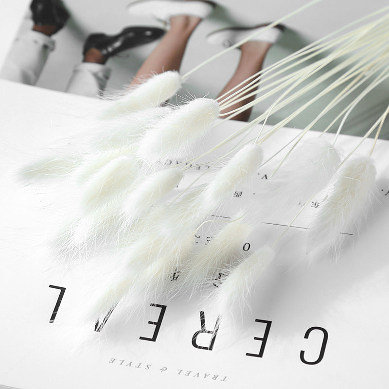 91c30500c5474c55a55b8b5ec8a7df22