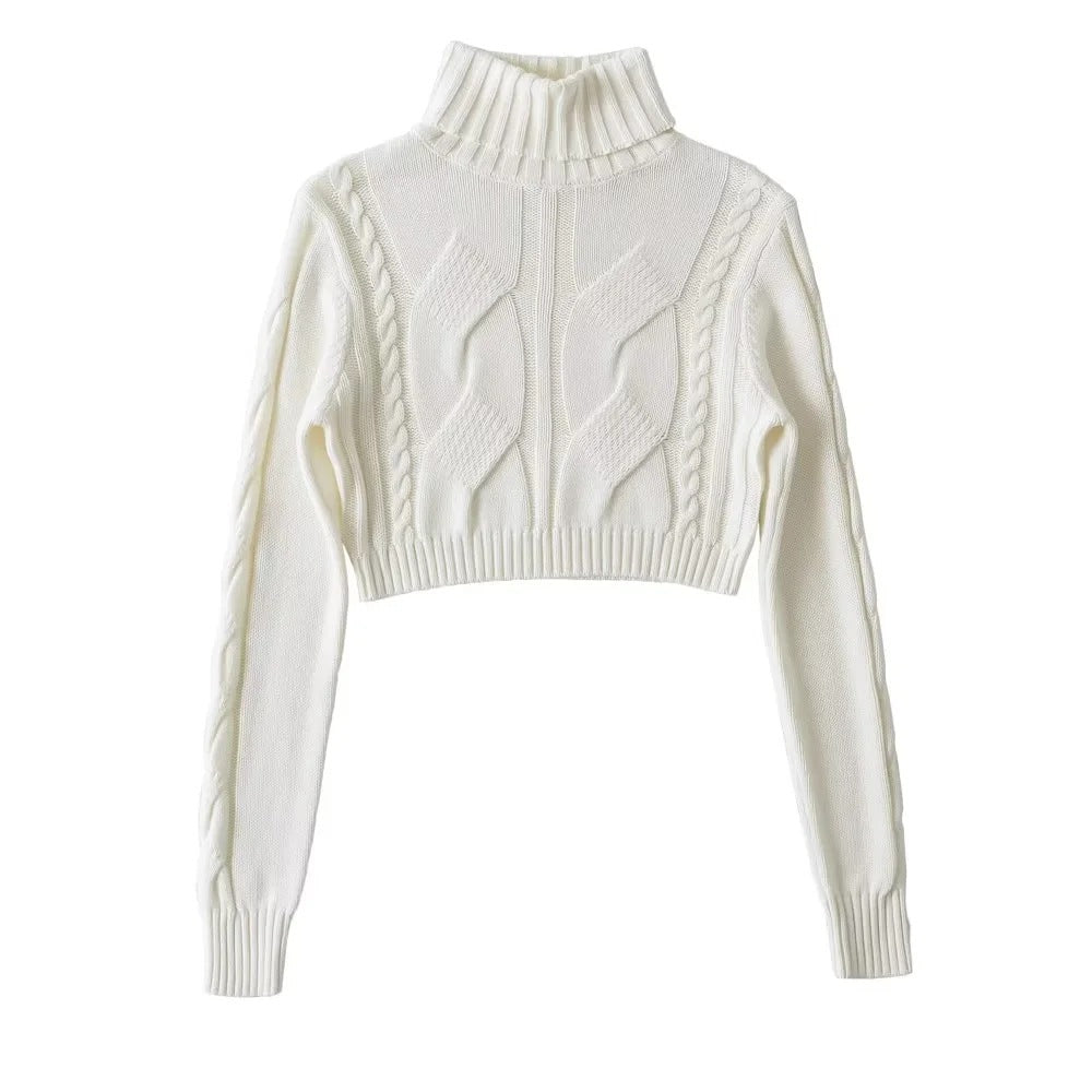American Turtleneck Cable-knit Sweater