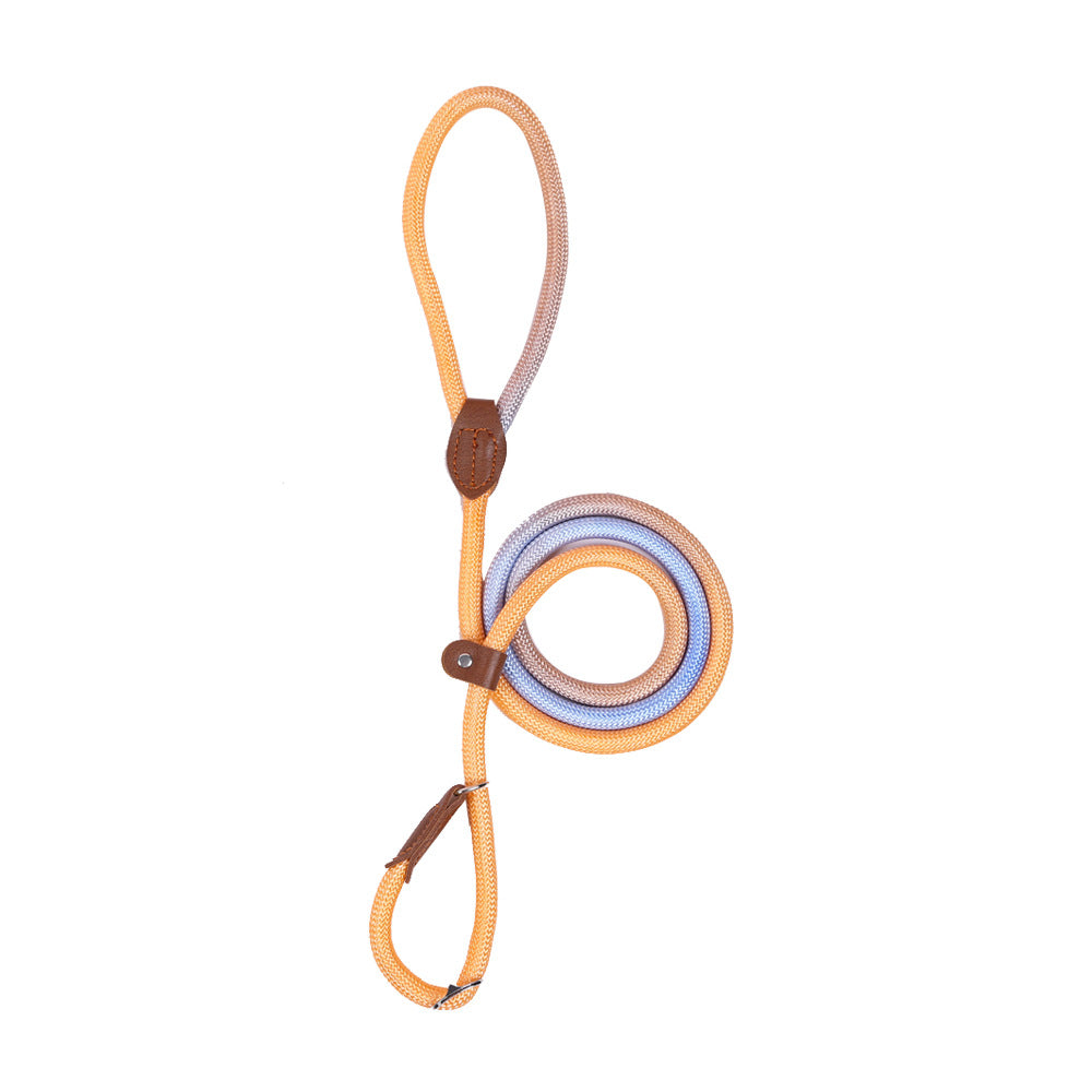 Colorful Durable Bold Nylon Pet Hand Holding Rope